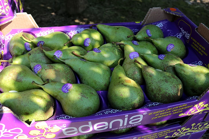 El col·legi d’Infermeres de Tarragona desaconsella les dietes que restringeixen aliments i mesurar l’obesitat amb l’IMC