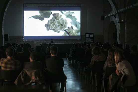 El Most 2023 celebrarà la filosofia ‘slow’ en el món del vi i de la gastronomia en la seva 12a edició