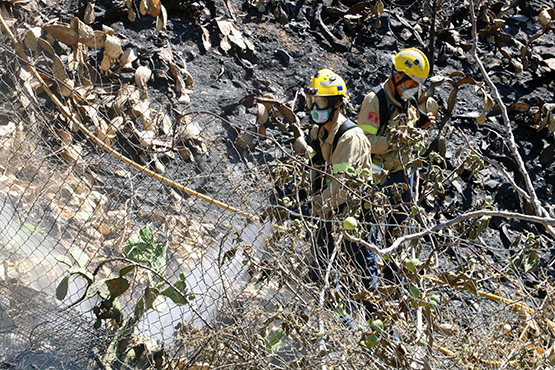 La campanya d’incendis forestals acaba amb 668 hectàrees cremades en un dels pitjors anys climàtics