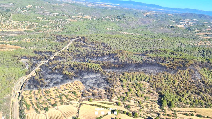 Extingit l’incendi de Vespella de Gaià, que ha afectat 40 hectàrees després de gairebé una setmana de cremar