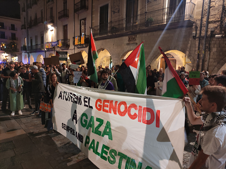 Manifestacions arreu de Catalunya contra l’ofensiva militar d’Israel a la franja de Gaza
