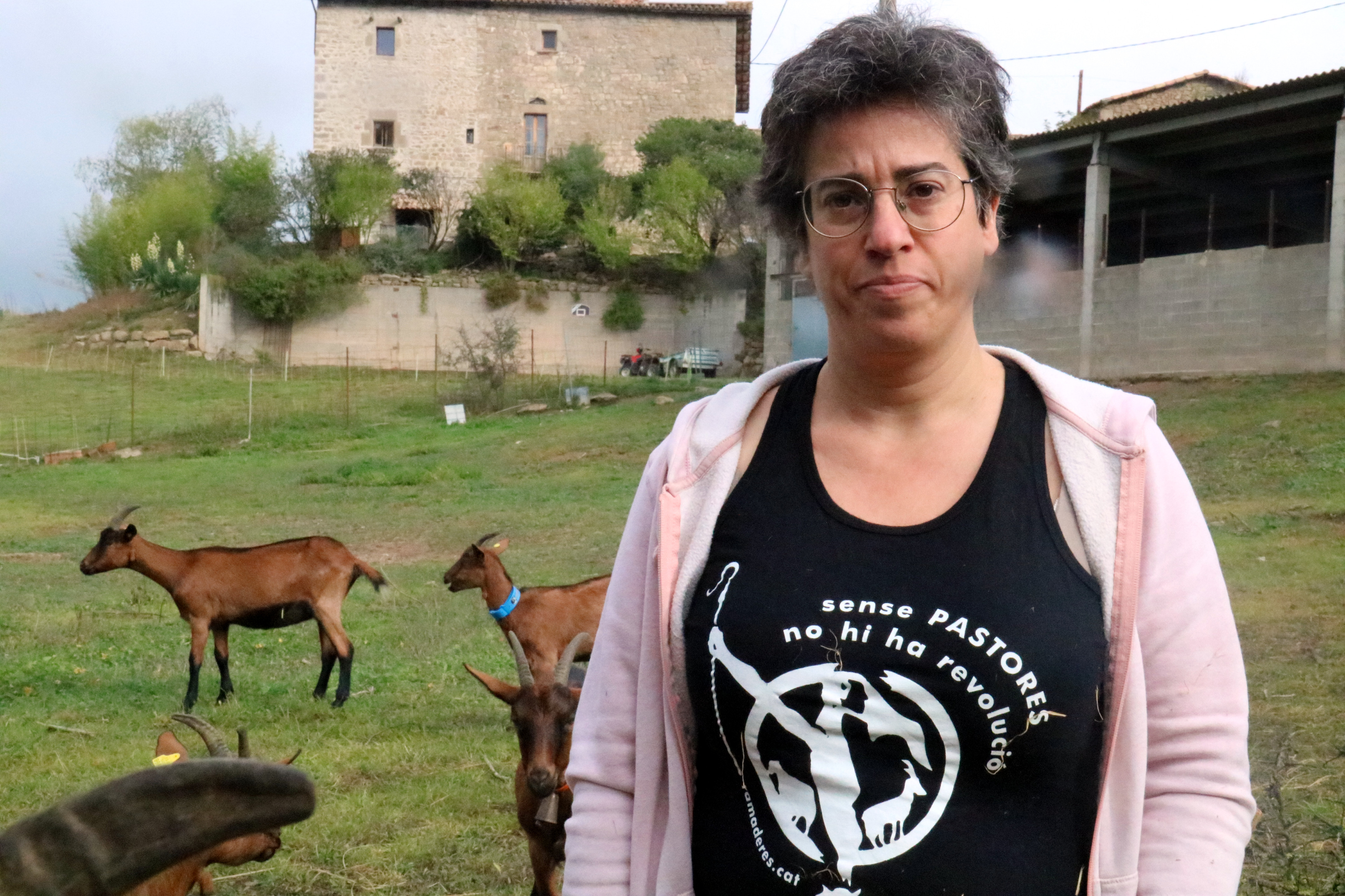 Ramaderes de Catalunya denuncia el “despropòsit burocràtic” que pateixen per mantenir al dia les seves explotacions