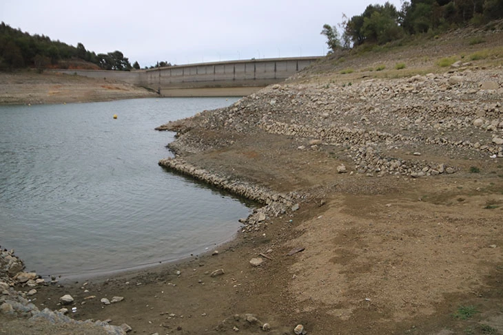 Comencen a retirar peixos del pantà de Riudecanyes per garantir la qualitat de l’aigua