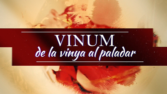Penedès TV estrena avui la segona temporada de ‘Vinum. De la vinya al paladar’
