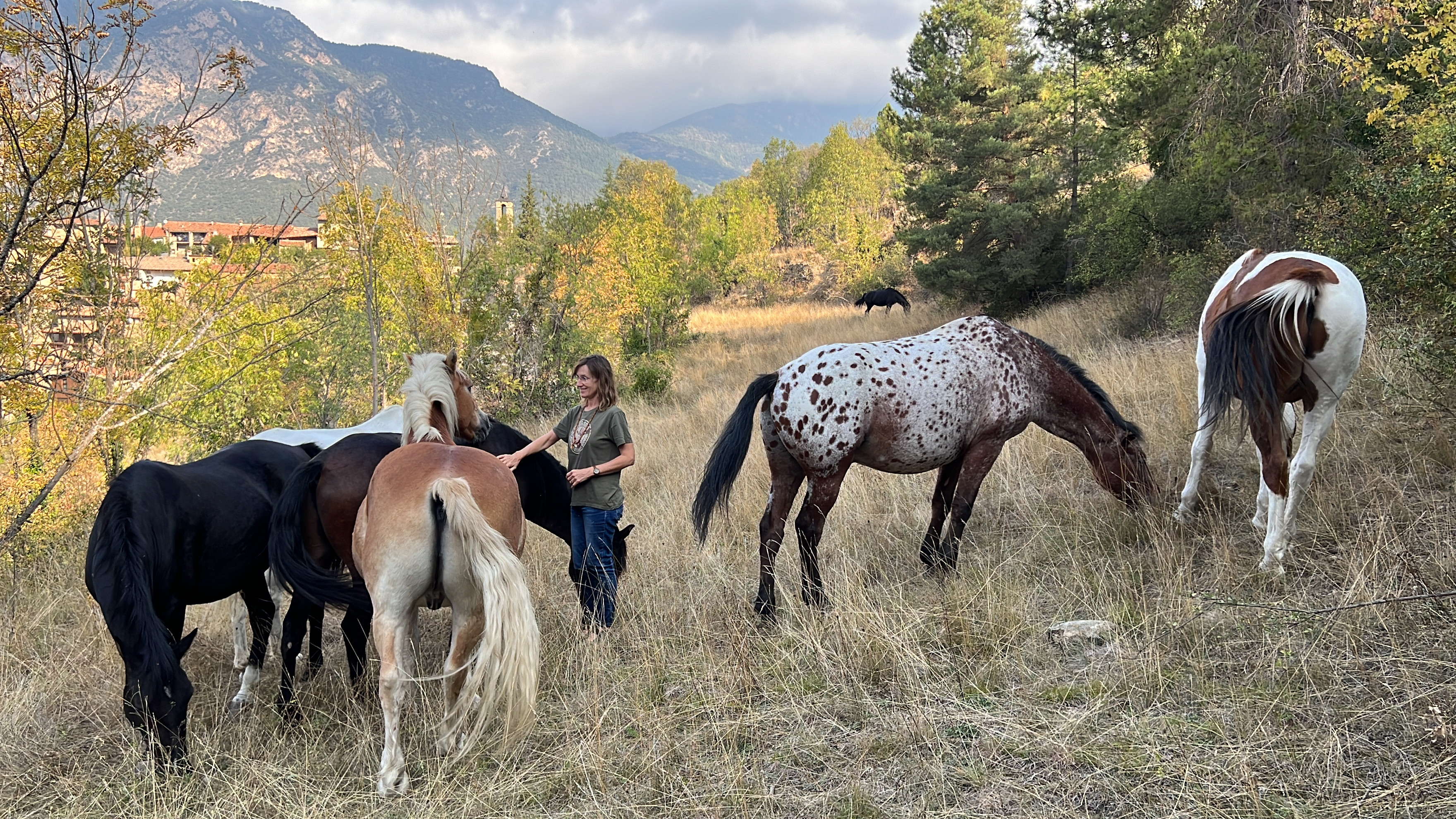 La Fundació Miranda necessita espai per uns 30 cavalls que han de marxar del Pla de l’Orri (Berguedà) durant l’hivern
