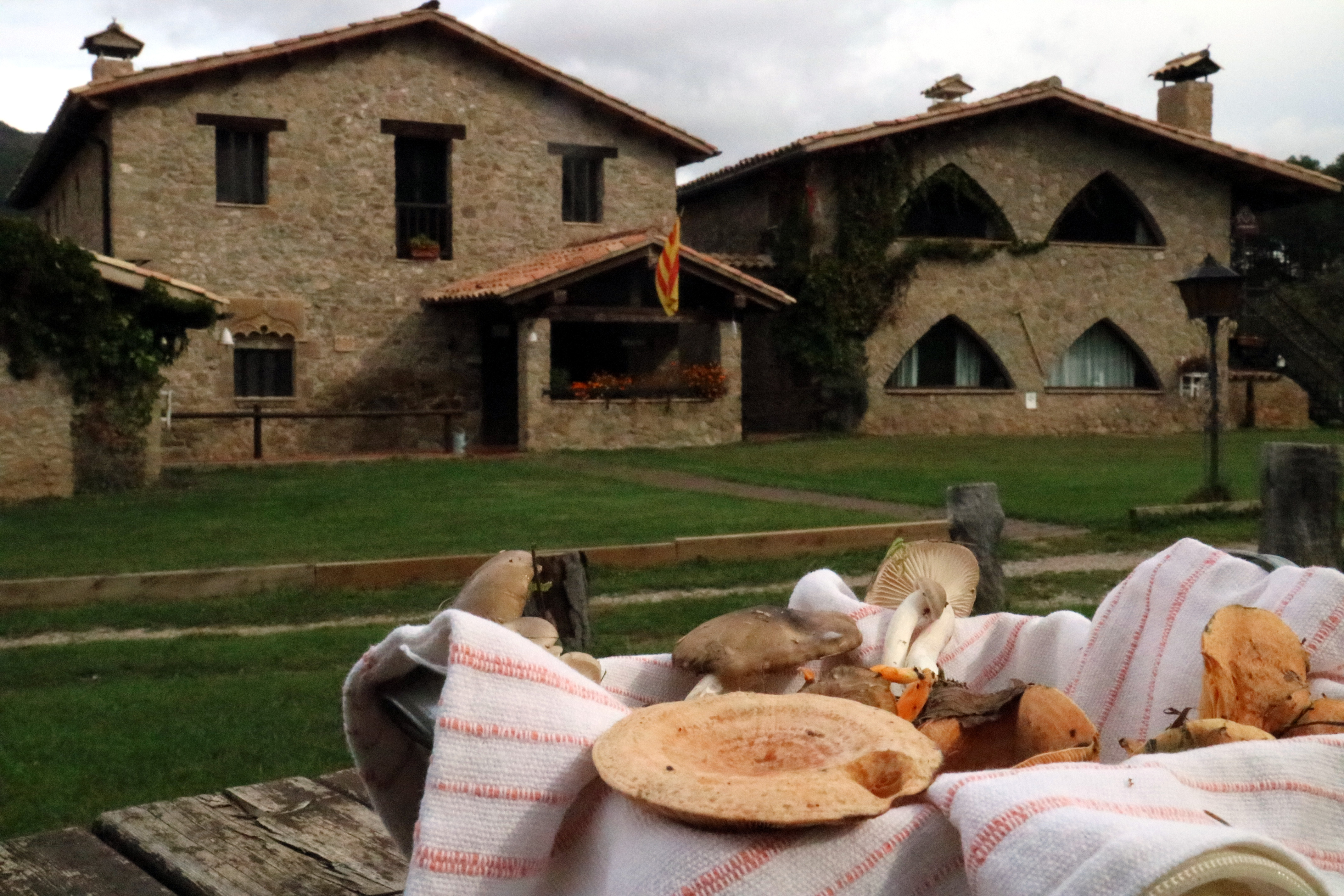 La manca de bolets fa caure la facturació d’alguns restaurants i cases de turisme rural del Berguedà