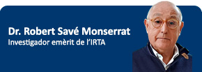 Suau com l’aigua, per entrar ben a fons