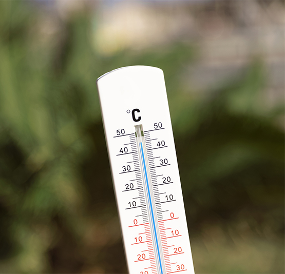 L’octubre comença amb rècords de temperatures a l’Alt Penedès