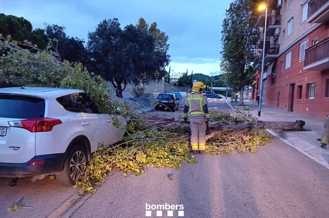 Els Bombers reben 87 avisos derivats del temporal de vent, la majoria per arbres i d’altres elements caiguts