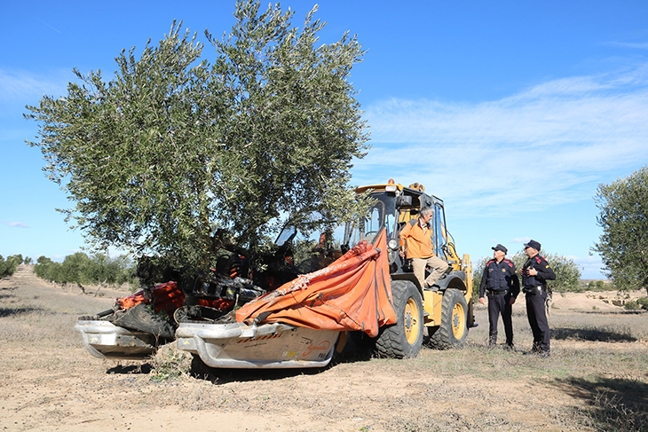 Els Mossos reforcen les tasques de prevenció de robatoris en cooperatives d’oli davant l’augment de preu del producte