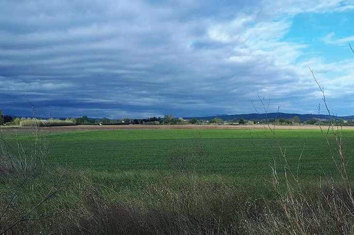 El Consorci d’Aigües Costa Brava Girona aprova construir una estació potabilitzadora a l’Escala per 7,3 MEUR