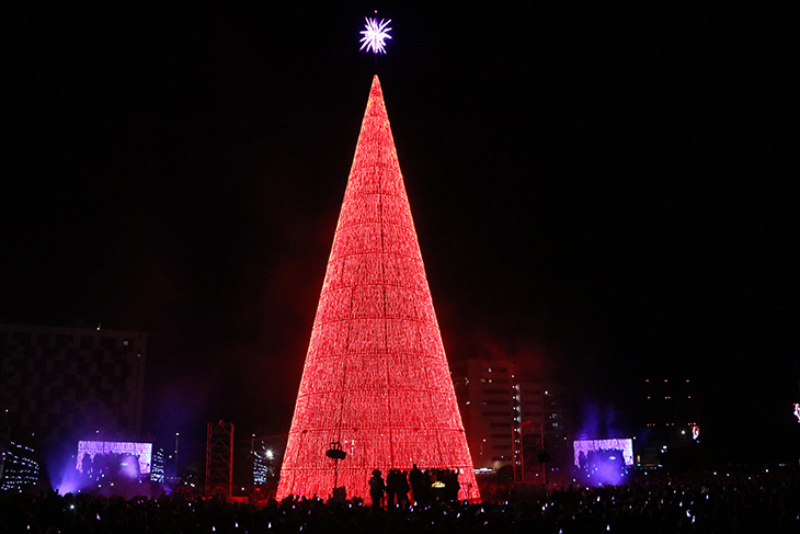Badalona il·lumina el seu arbre gegant de 40 metres d’alçària i 82.000 llums led