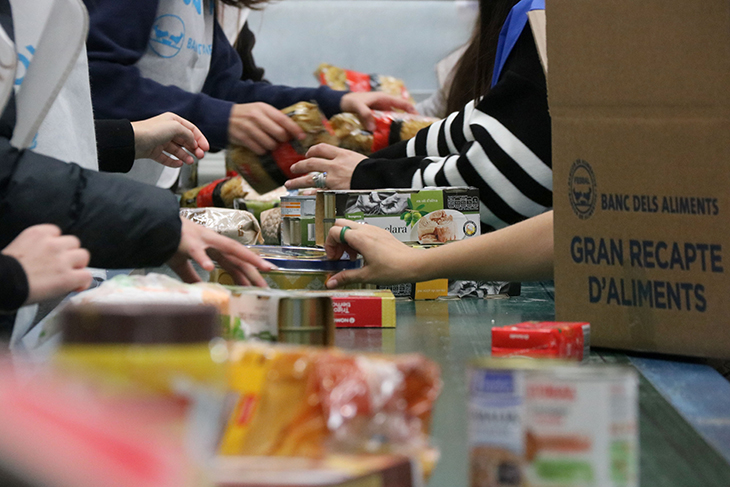 El Gran Recapte d’Aliments constata un augment de donatius d’ampolles d’oli