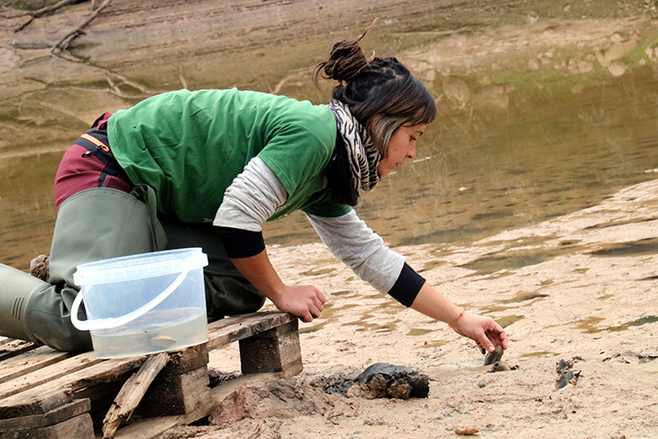 La sequera redueix “dràsticament” la població de crancs autòctons i nàiades als rius, claus per a la biodiversitat