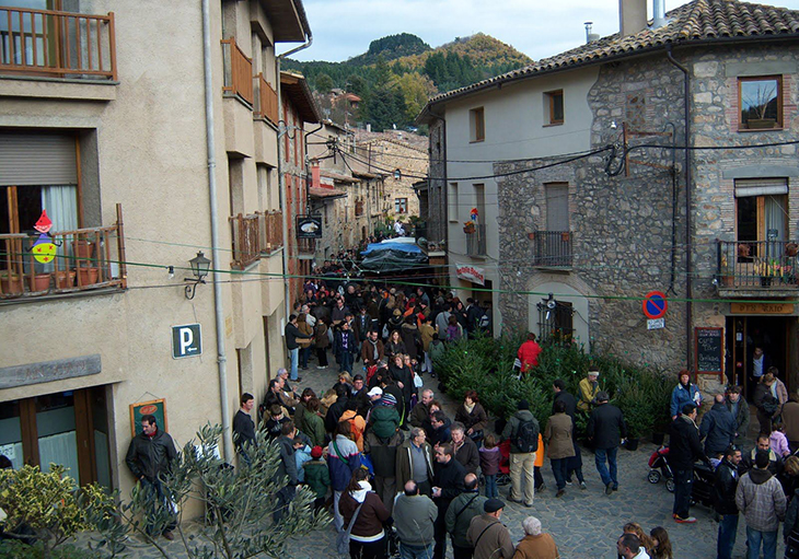 La Fira de l’Avet d’Espinelves preveu rebre més de 9.000 visitants i vendre 3.000 arbres de Nadal