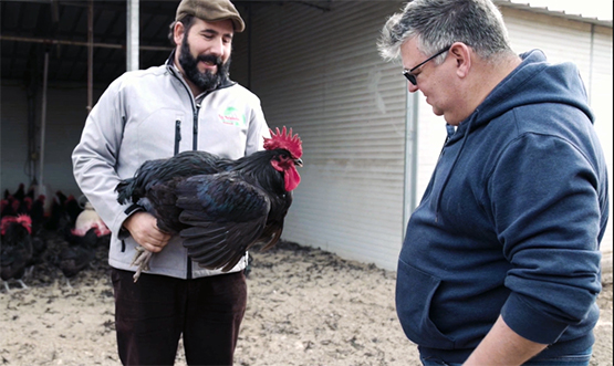 El gastrònom i comunicador Pep Nogué descobreix la IGP Gall del Penedès