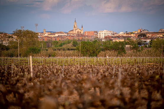 L’Ajuntament de Vilafranca renova la certificació Biosphere de Destinació Turística Sostenible