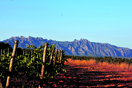 El calendari del 2024 d”El Cargol’ ja està disponible als forns de l’Alt Penedès