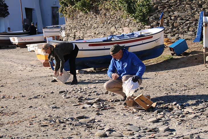 Retornen una tona de “passanelles” a Port Lligat i denuncien l’espoli del 40% de les pedres de les platges de Cadaqués