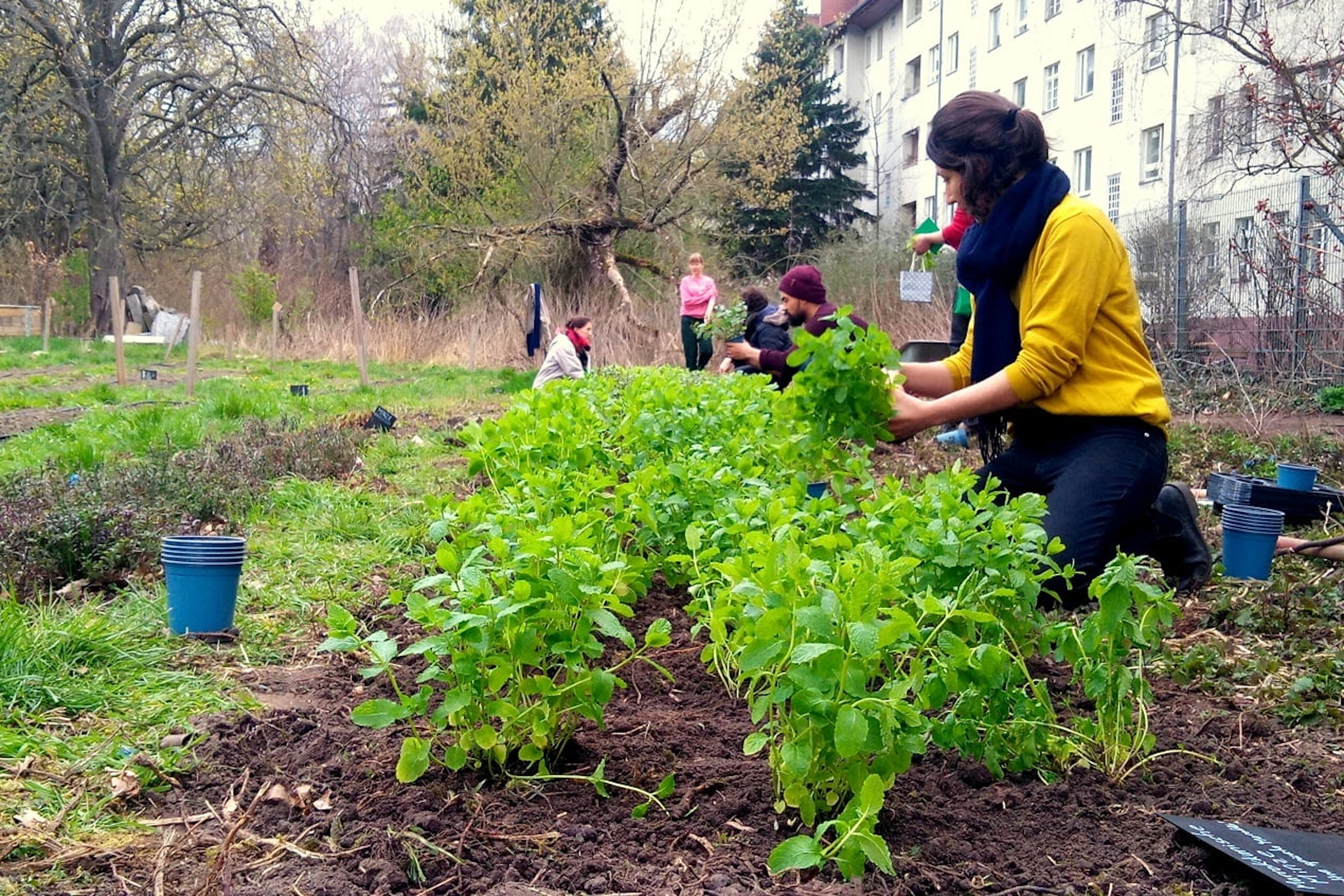 L’ICRA i la UdG creen una plataforma digital per promoure l’agricultura urbana en ciutats