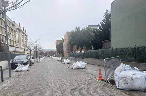 Replanten els arbres de diferents carrers de Vilafranca