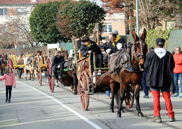 La festa dels Tonis de Taradell s’adapta al segle XXI: menys animals i més patrimoni