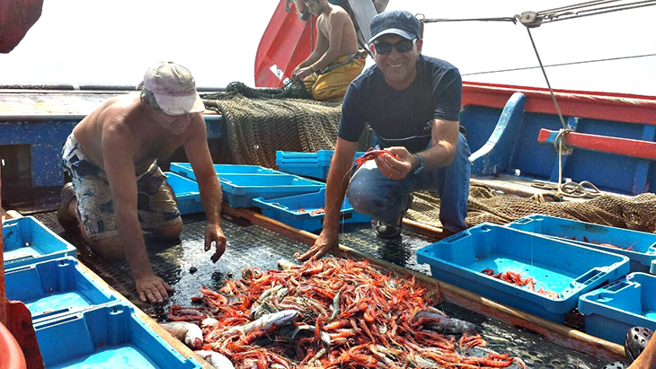 Un estudi del CSIC considera la pesca de la gamba de Palamós com la més ben gestionada de Catalunya