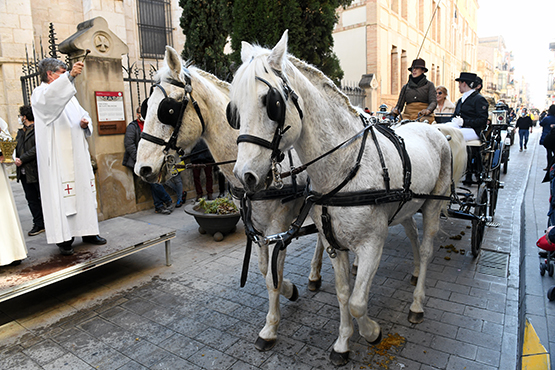Els Tres Tombs de Vilafranca 2024 escalfen motors
