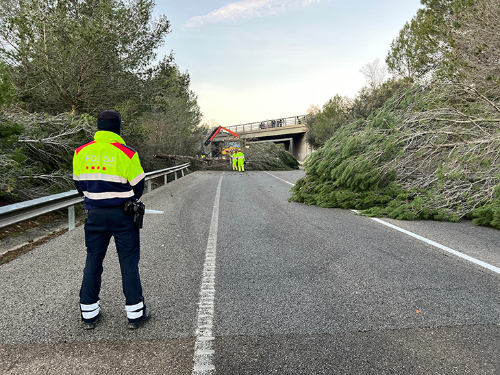 Un motorista ferit en xocar contra un arbre que hi havia al mig de la N-II en el marc de les protestes dels pagesos