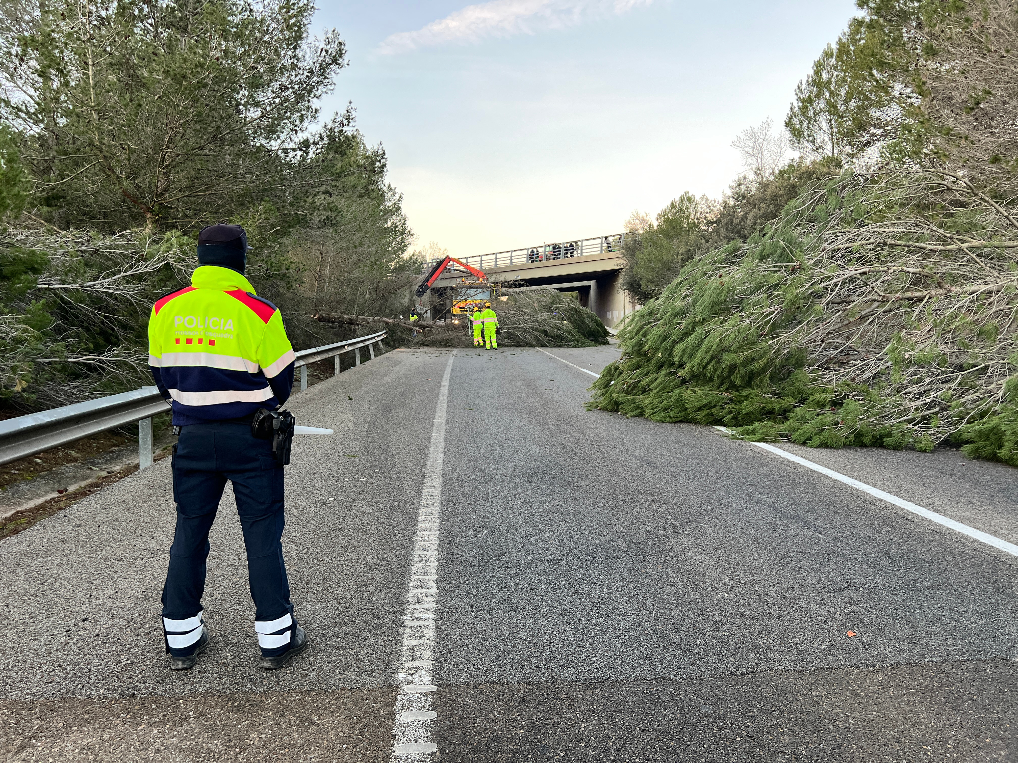 Un motorista ferit en xocar contra un arbre que hi havia al mig de la N-II en el marc de les protestes dels pagesos