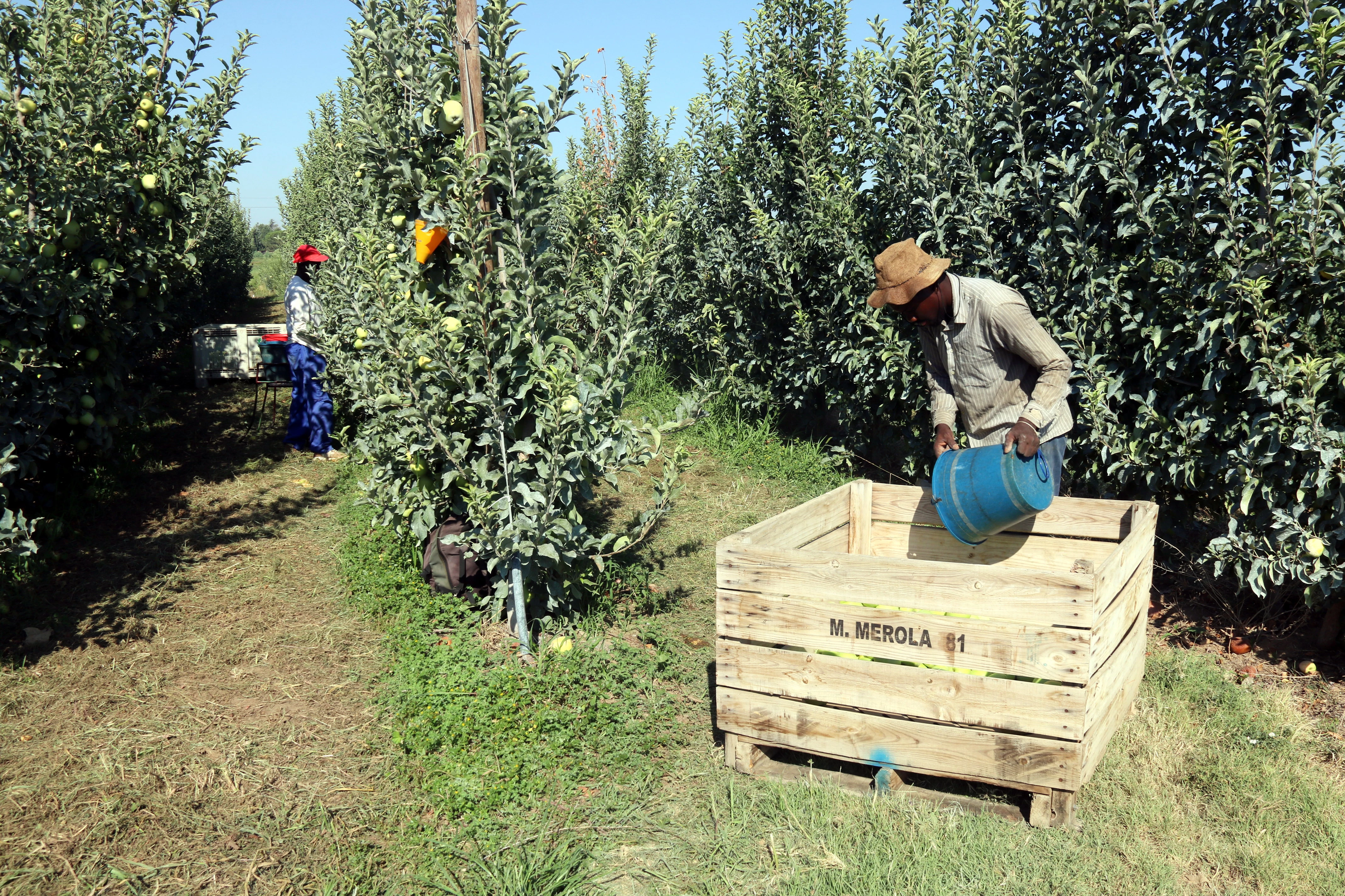 Les exportacions de Ponent i l’Alt Pirineu i Aran creixen un 0,8% al 2023 i arriben als 2.925 MEUR