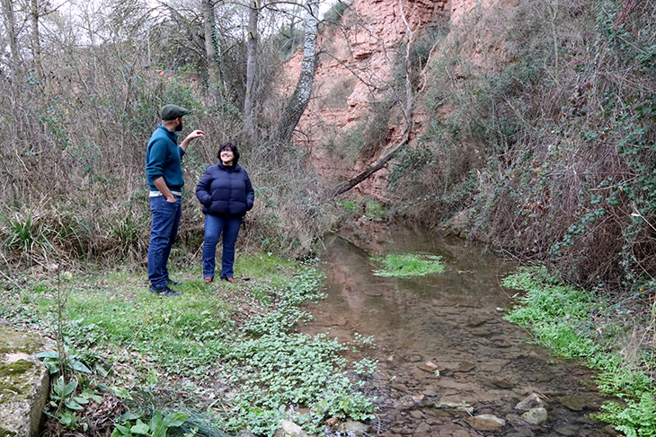 Reapareix la llúdriga a la capçalera del riu Anoia després de dècades desapareguda
