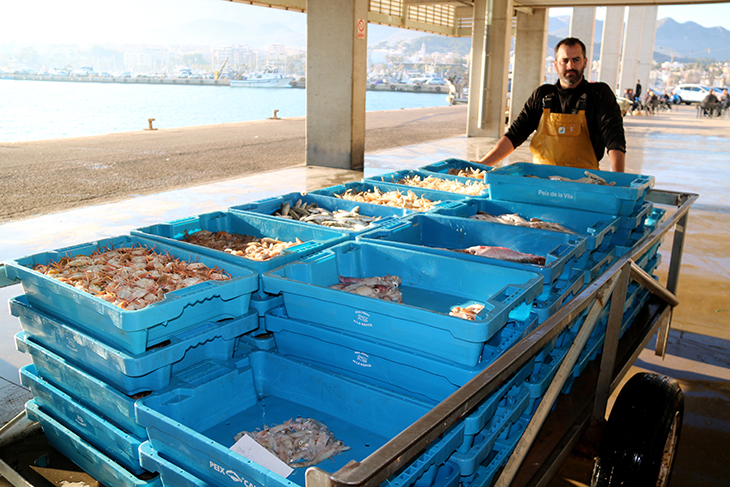 L’IPC cau sis dècimes al febrer i se situa al 2,4% al Camp de Tarragona i les Terres de l’Ebre