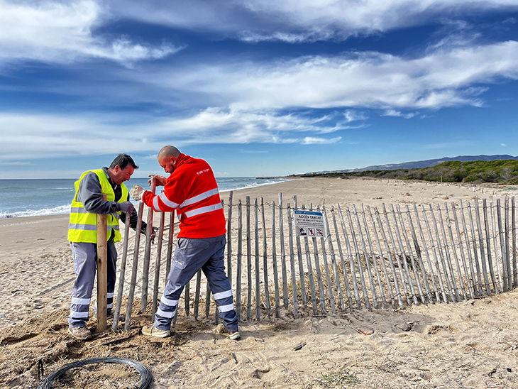 Tancada la platja del Remolar de Viladecans fins el juliol per afavorir la nidificació d’espècies protegides