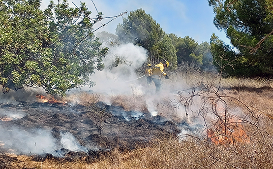 Denuncien dos joves per provocar 8 incendis l’estiu passat a l’Alt Penedès