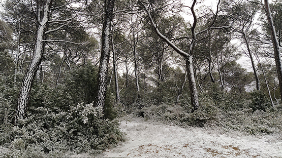 El temporal d’ahir va deixar vents de més de 74 km/h i va enfarinar els municipis més alts de l’Alt Penedès