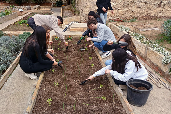 Els alumnes de l’IES Alt Penedès i del col·legi Sant Josep col·laboren amb el Rebost Solidari