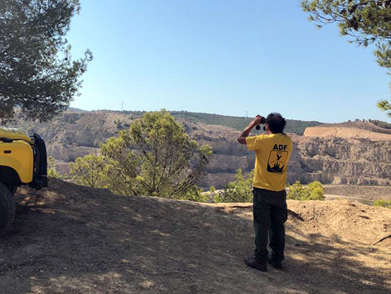 Les tasques de prevenció d’incendis a l’Alt Penedès s’iniciaran un mes abans de l’habitual