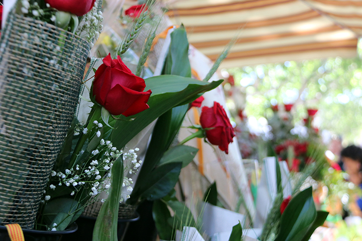 Bullici al cor de Tortosa en un Sant Jordi ventós i fresc que no desllueix la diada
