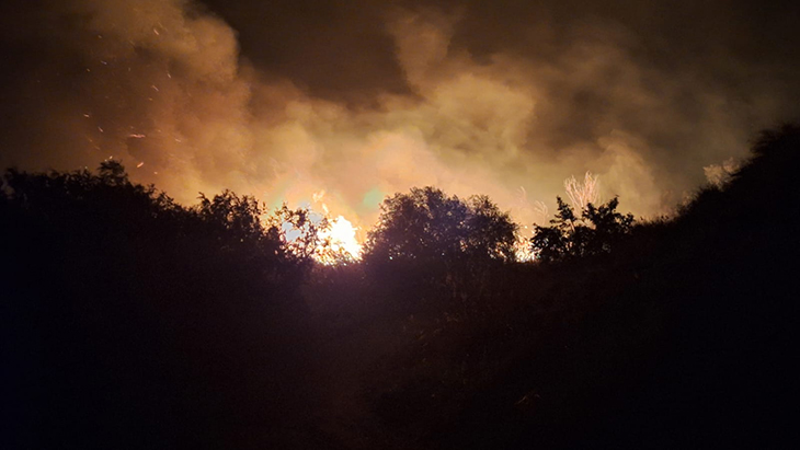 Controlat l’incendi de vegetació al costat de l’estany de ca l’Aragonès de Vila-sana
