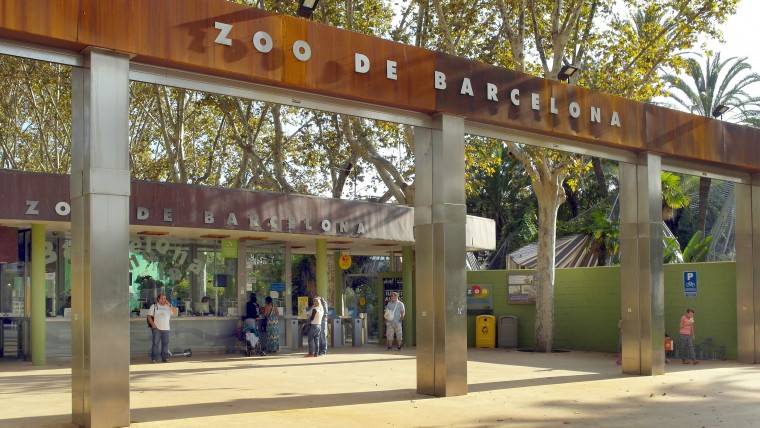 El Zoo provarà un sistema de filtres naturals per reutilitzar l’aigua sobrant de la neteja de les instal·lacions