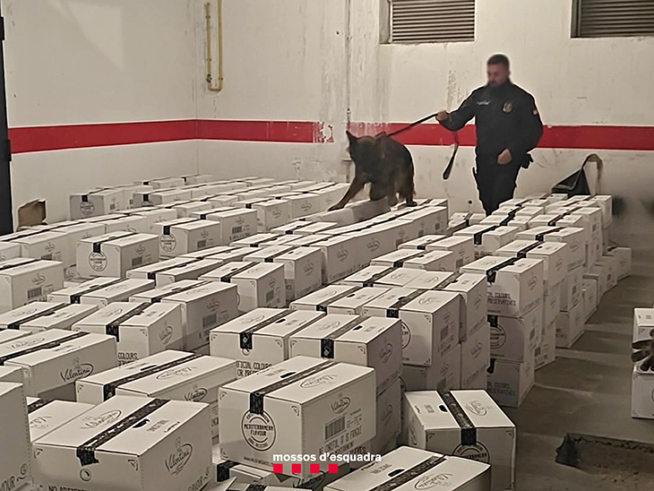 Detingut al Pont de Suert el conductor d’una furgoneta carregada amb 55 quilos de marihuana valorada en 350.000 euros