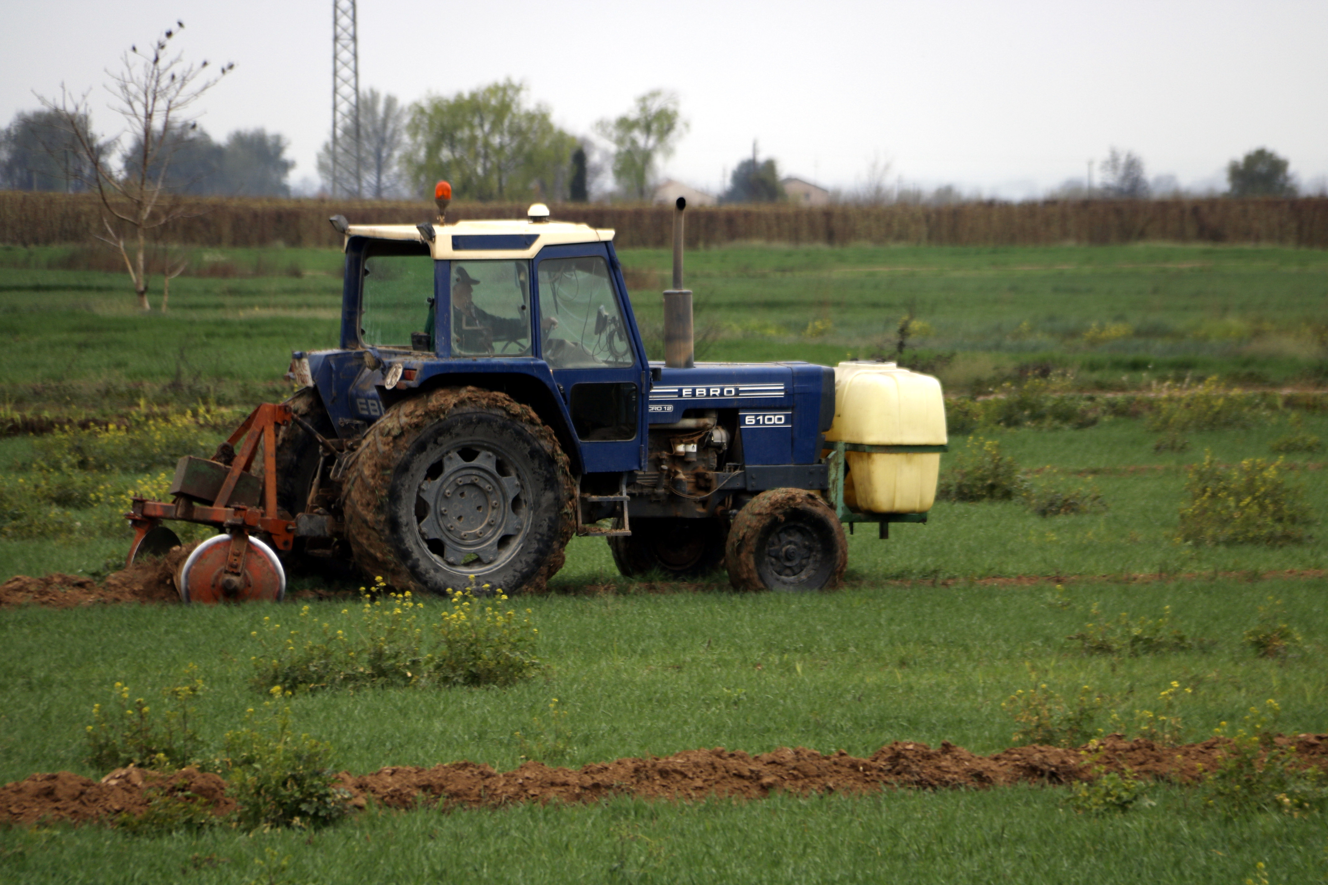 La FCAC denuncia que els productors de cereal i farratge del canal d’Urgell encara no han rebut cap ajut per la sequera