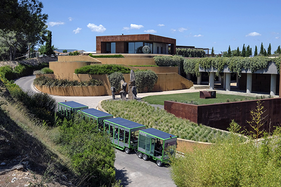 Família Torres, el celler més admirat del món pel prestigiós rànquing de ‘Drinks International’