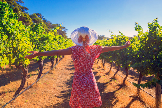 Aquest dissabte s’iniciarà La Primavera del Cava, un festival per gaudir d’un maig a les vinyes