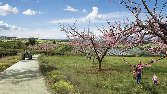 L’Agroparc d’Ametller Origen començarà les obres de cara a l’estiu