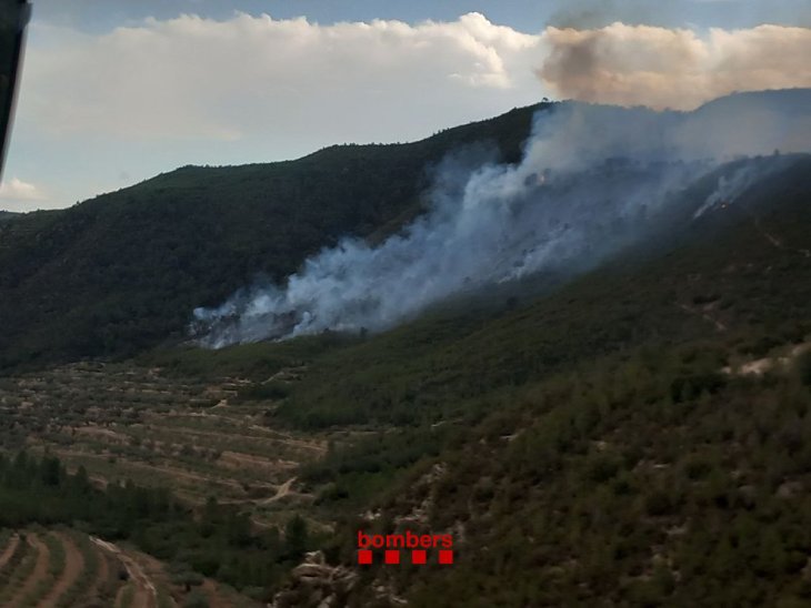L’incendi forestal a la Pobla de Massaluca afecta unes sis hectàrees, segons els Agents Rurals