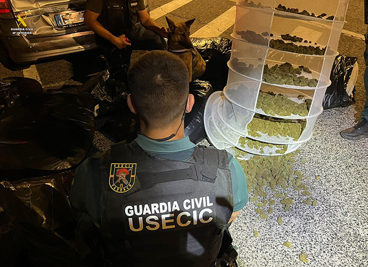 Troben 22 quilos de marihuana dins d’un cotxe en un control en una de les sortides de l’AP-7 del Vendrell