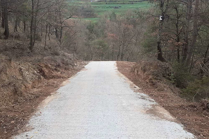 La Diputació de Barcelona destina 945.000 euros en treballs de prevenció d’incendis forestals a Osona