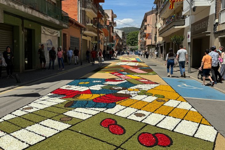 Els carrers Segimon Folgueroles, Castell, Major i els Catifeixons guanyen el concurs de catifes florals d’Arbúcies